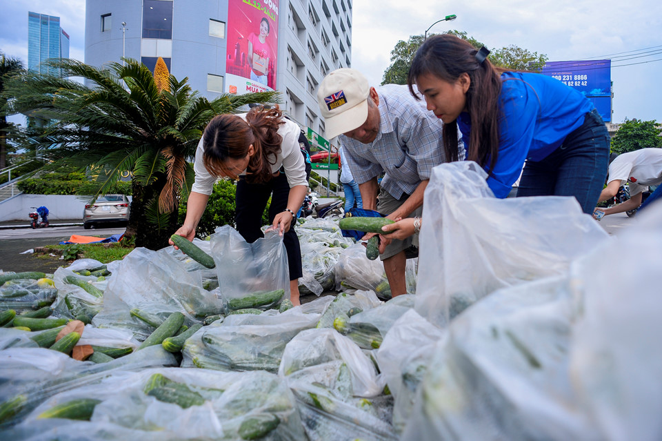 Sinh viên đội mưa giải cứu hàng tấn dưa chuột cho nông dân xứ Nghệ